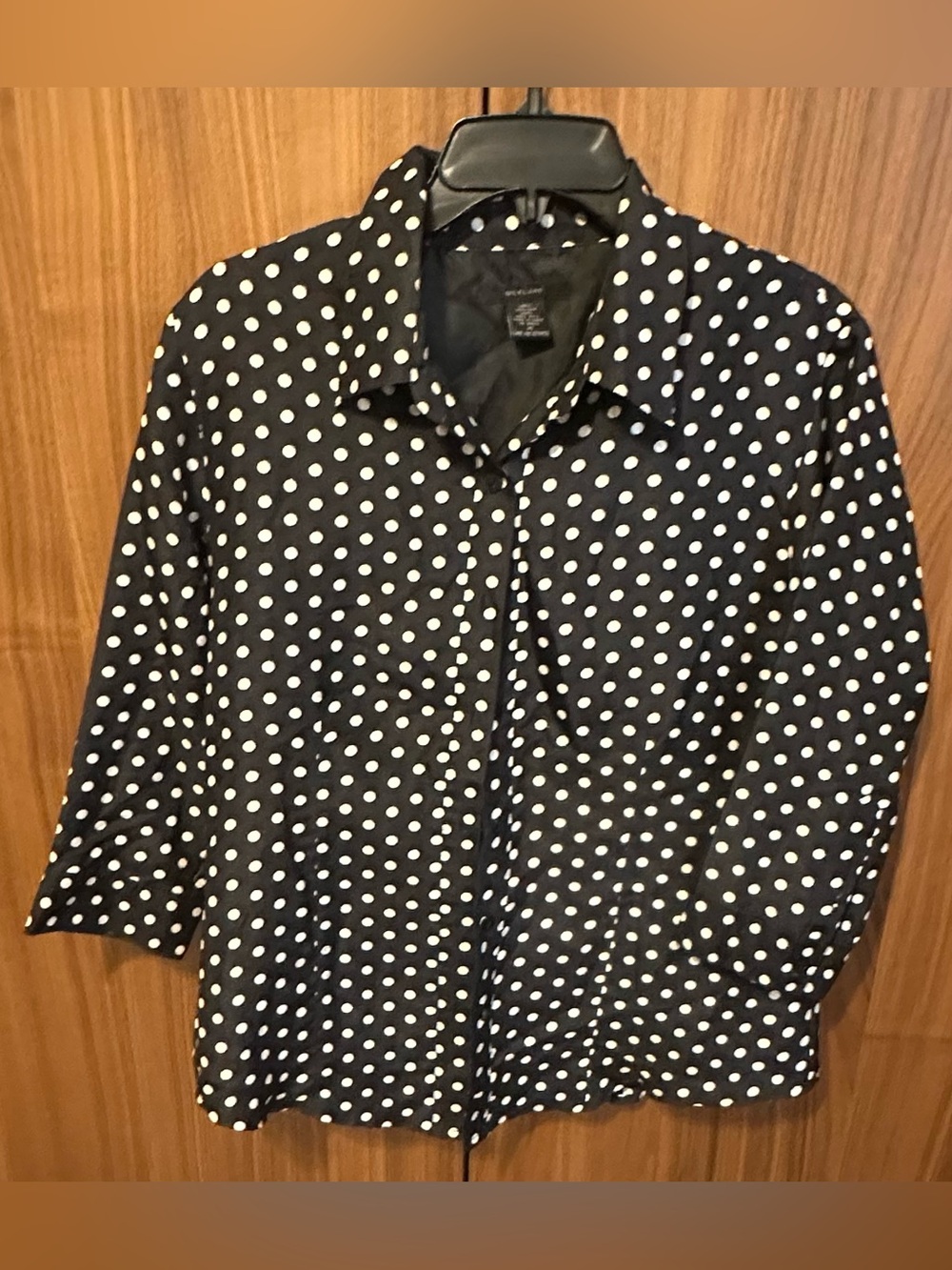 SilkLand Polka Dot Blouse